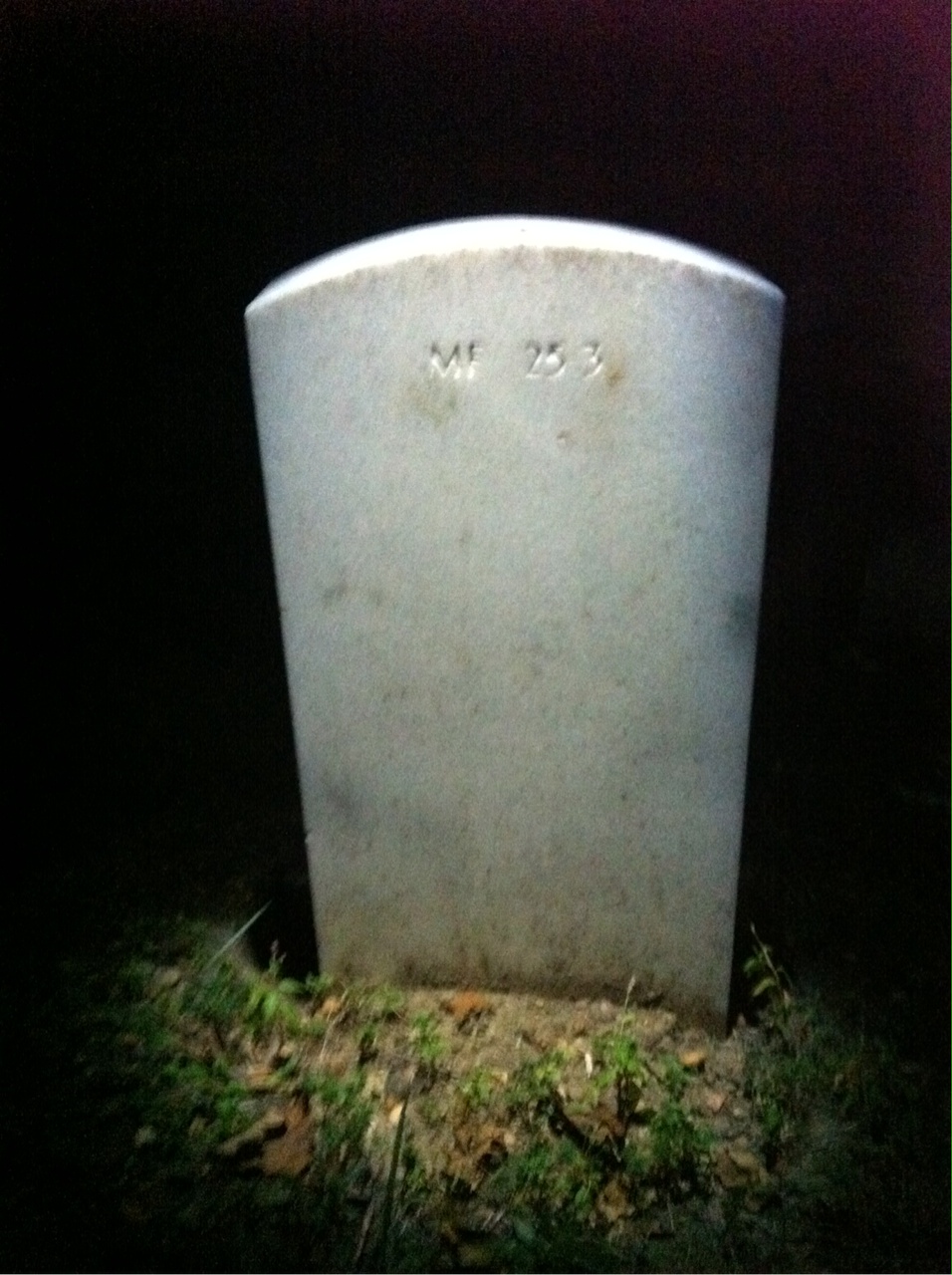 Headstone of Jacob L Pawer Jr.