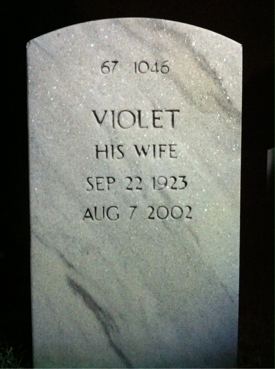 Headstone shared by 2 interments, including William N Taylor