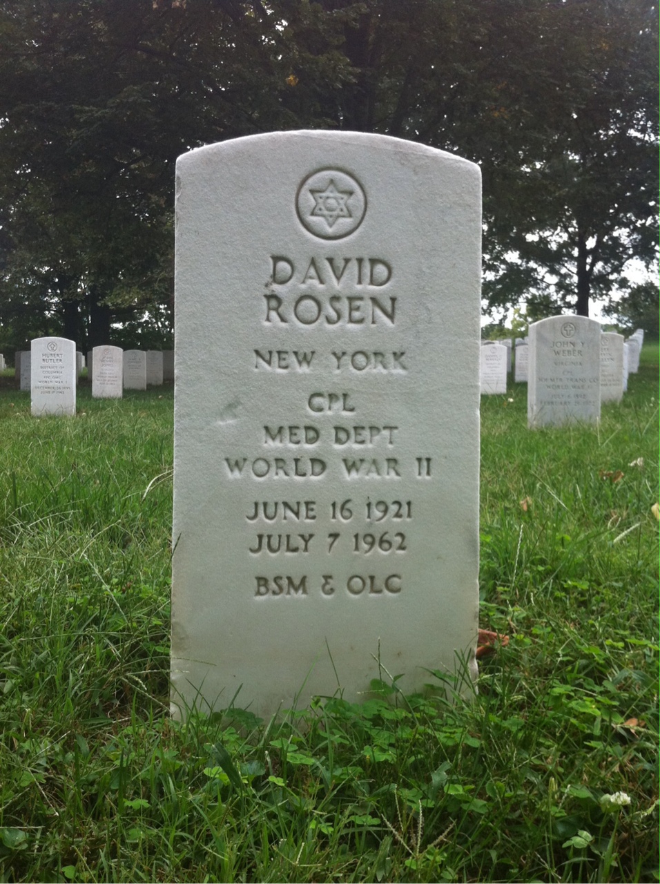 Headstone of David Rosen
