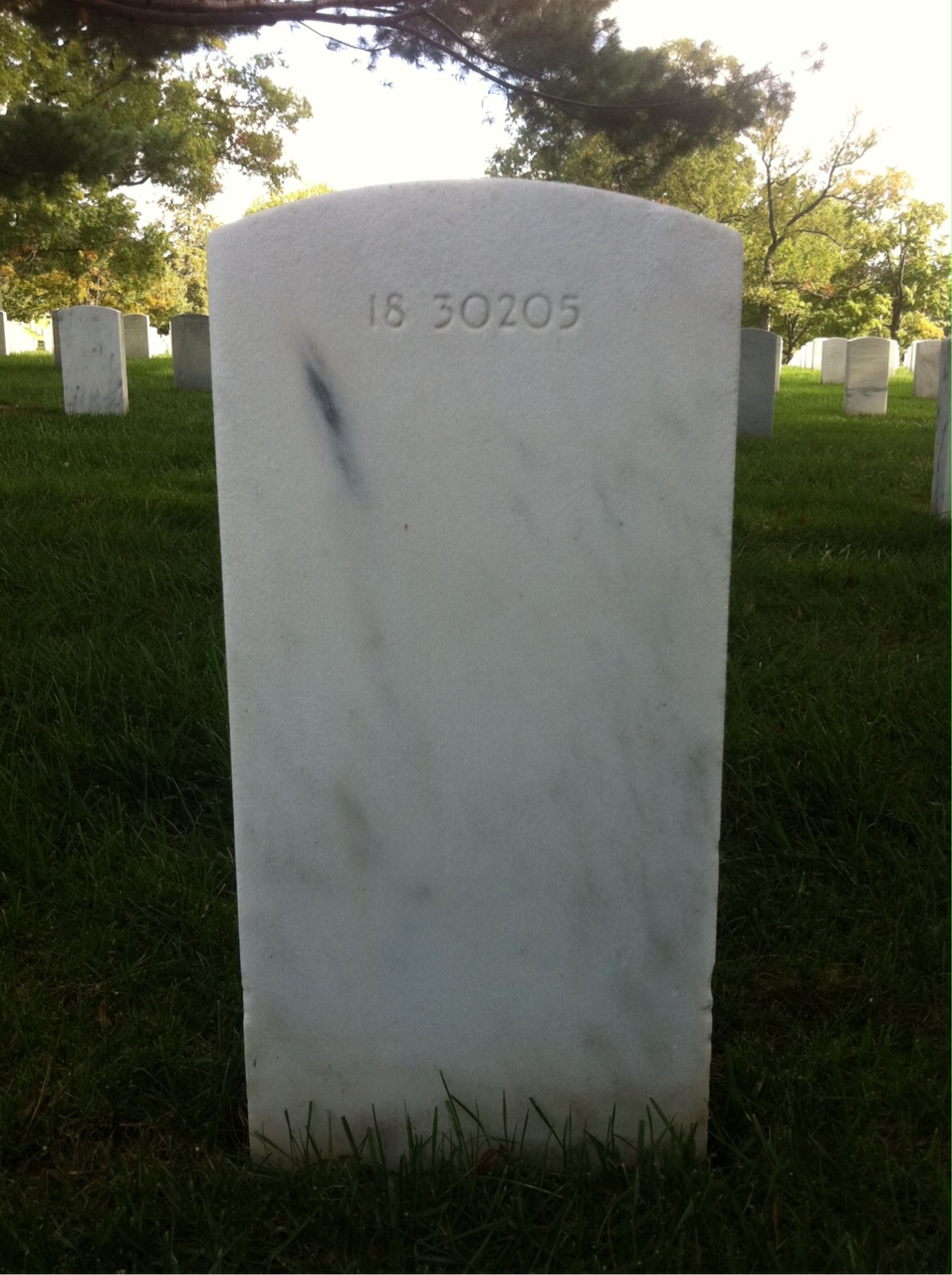 Headstone of Charles Bridget