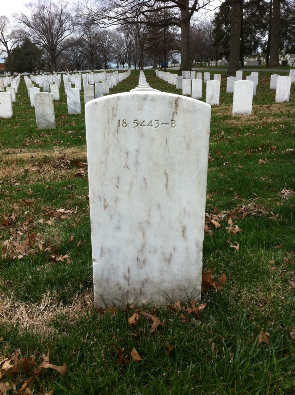 Headstone of Brady Lewis